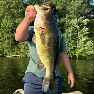 Meet your Posher, Peter